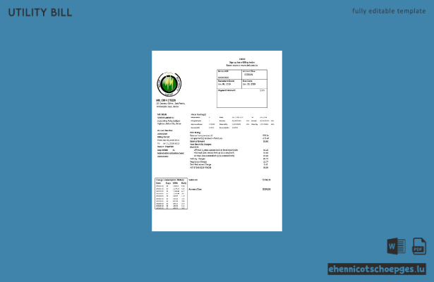 Beispielrechnung des Stromversorgers Belize Electricity Limited